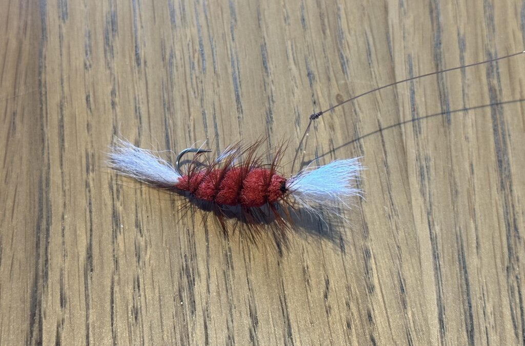 A Bomber tied on a Rapala Knot for free swinging action.
