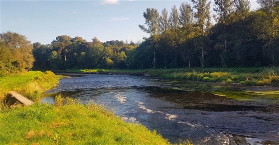 Discover the Magic of Careysville Fishery on Ireland’s Majestic River Blackwater